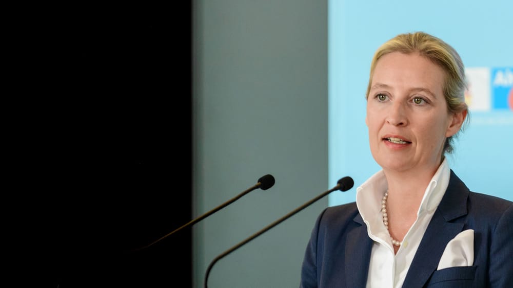 Interview Musk-Weidel: Die Logik des Jokers | Von Paul Clemente Beitragsbild