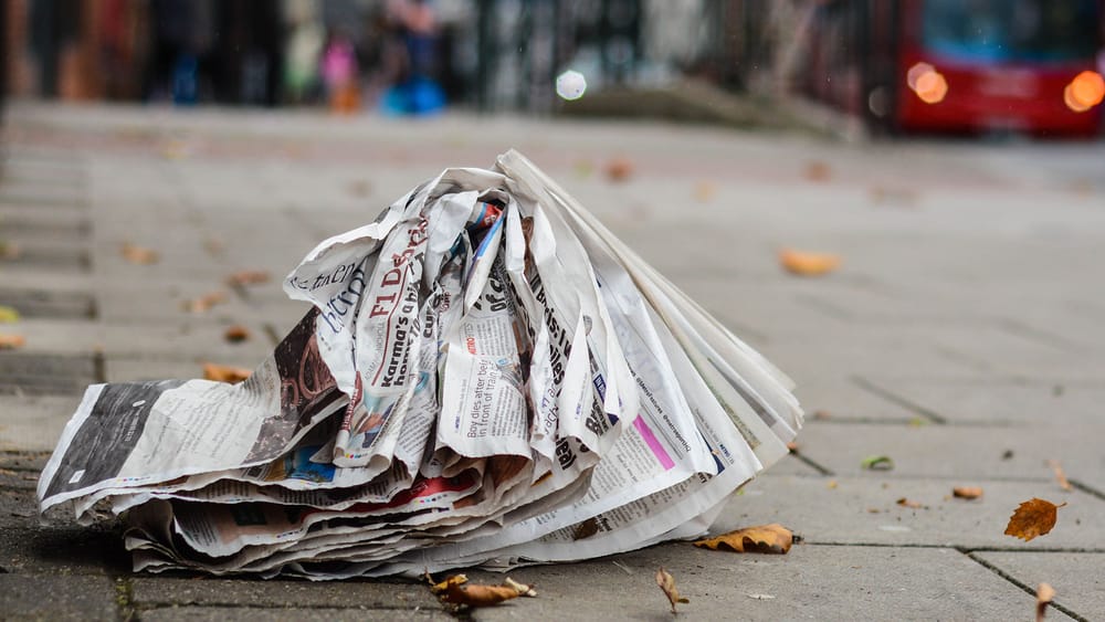 Two "TIMES" finally tell the truth, but no one understands it | Von Bodo Schickentanz Beitragsbild