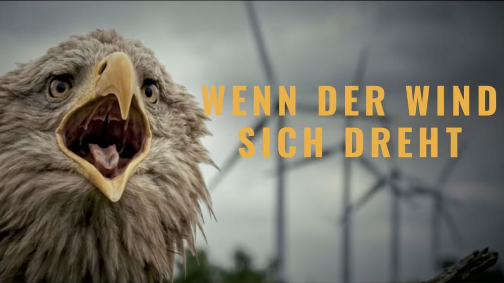 "Wenn der Wind sich dreht" | Die Windkraft-Doku (Teaser #1) Beitragsbild