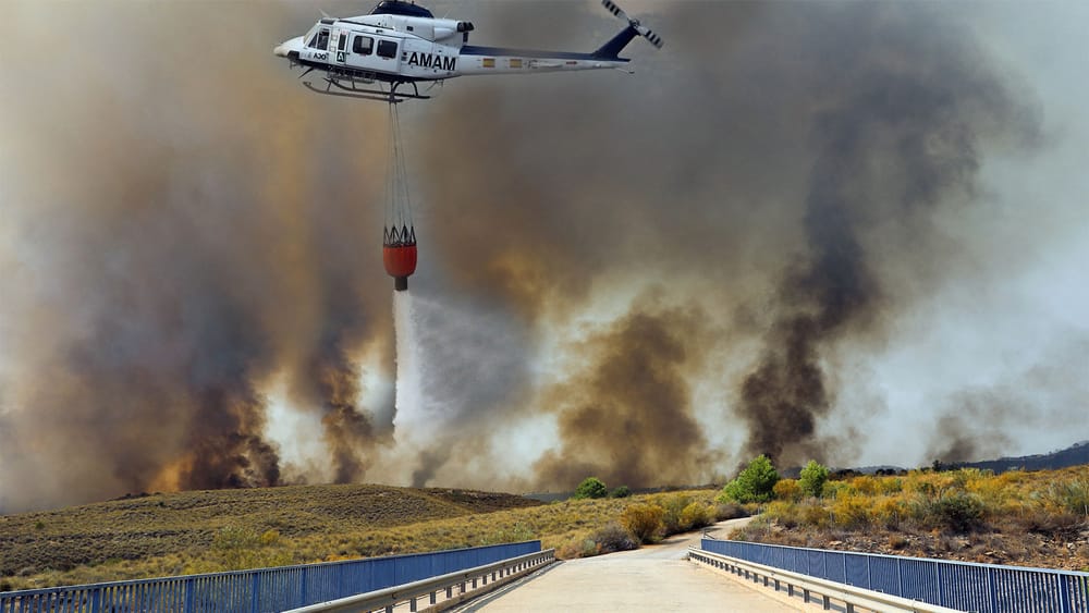 Waldbrände in Spanien: Wenn die Moral brennt, rettet uns die Ideologie | Von Dirk Ellerbrock Beitragsbild